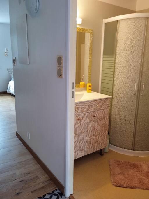 Le Briochin Apartment Saint-Brieuc Luaran gambar