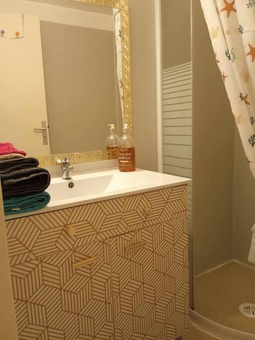 Le Briochin Apartment Saint-Brieuc Luaran gambar
