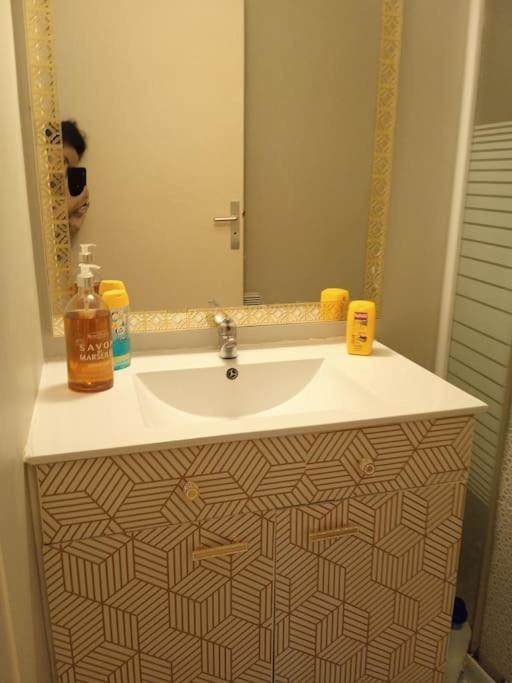 Le Briochin Apartment Saint-Brieuc Luaran gambar