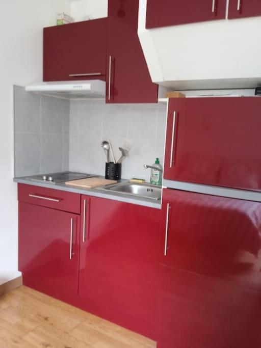 Le Briochin Apartment Saint-Brieuc Luaran gambar